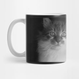 Cute cat Mug